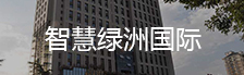 智慧绿洲国际